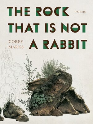 cover image of The Rock That Is Not a Rabbit